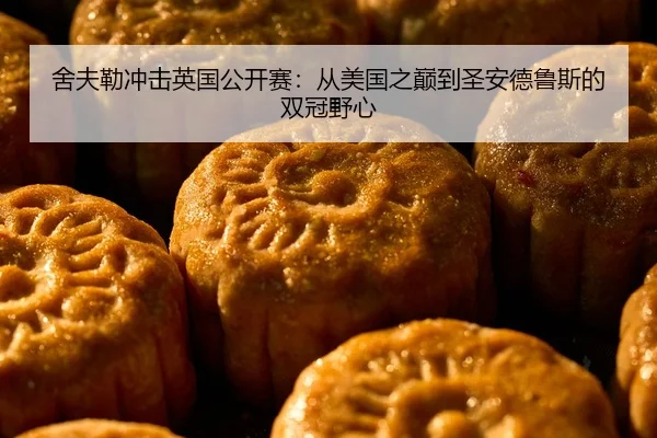 she-fu-lei-chong-ji-ying-guo-gong-kai-sai-cong-mei-guo-zhi-dian-dao-sheng-an-de-lu-si-de-shuang-guan-ye-xin-2-643.jpg